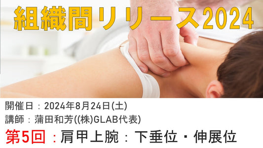 【2024年08月24日 組織間リリース2024オンデマンド⑤ 肩甲上腕:下垂位・伸展位】受講の感想