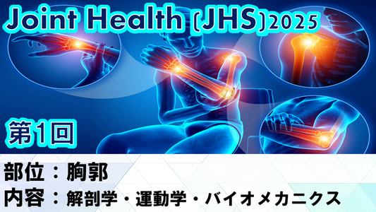 【ジョイントヘルス】胸椎の解剖と機能改善エクササイズ
