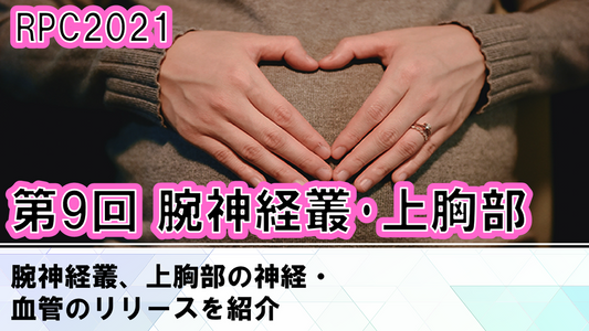 受講の感想【210627 産前・産後リアライン(RPC)2021:第9回RPC(実技)腕神経叢・上胸部<6月27日> 1日参加】