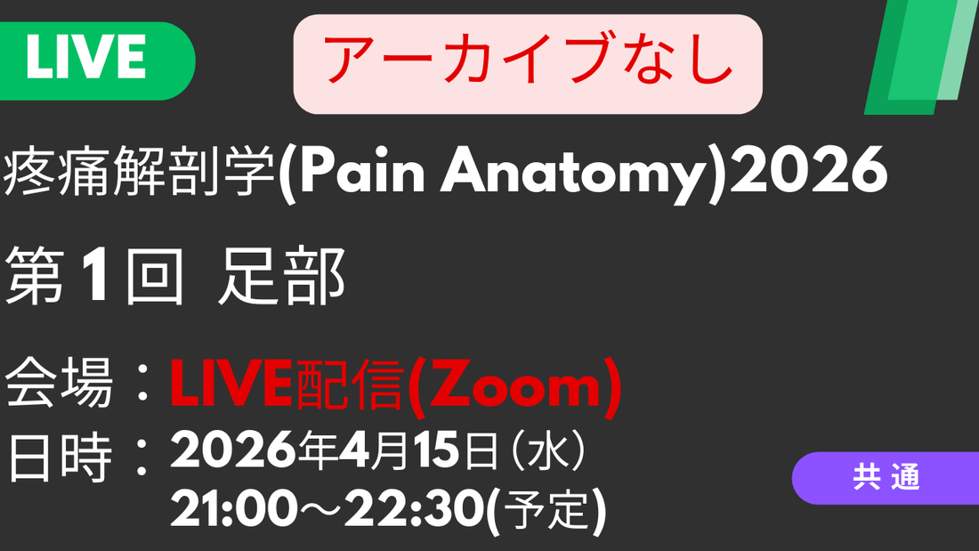 【260415 PA2026第01回 足部：Baxter神経・内側踵骨神経の触診】受講の感想