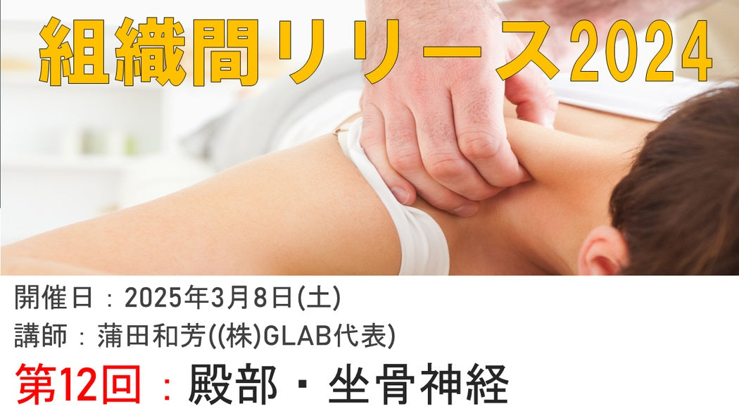 【組織間リリース】殿部坐骨神経痛に効くISR技術！