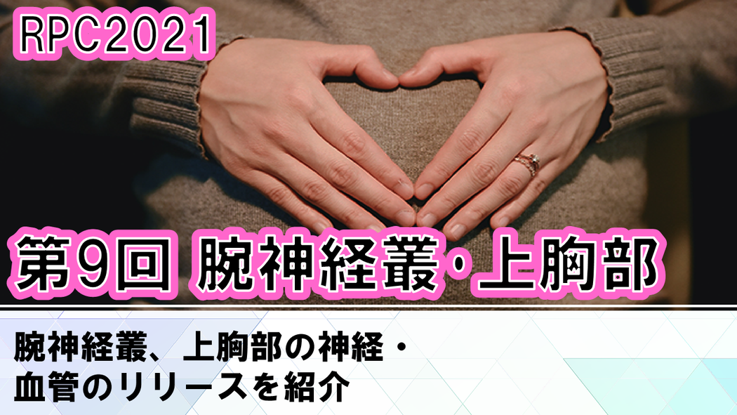 腕神経叢リリースの評価方法と技法の基礎知識