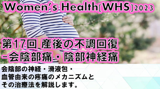 【2023年12月06日 WHS2023第17回 産後の不調回復⑦：会陰部痛・陰部神経痛】受講の感想
