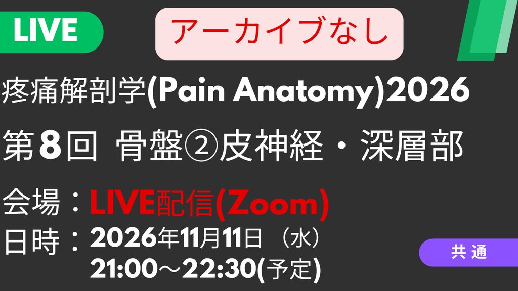 2026年11月11日 疼痛解剖学2026<LIVE配信>⑧骨盤2：皮神経・深層部の神経触診